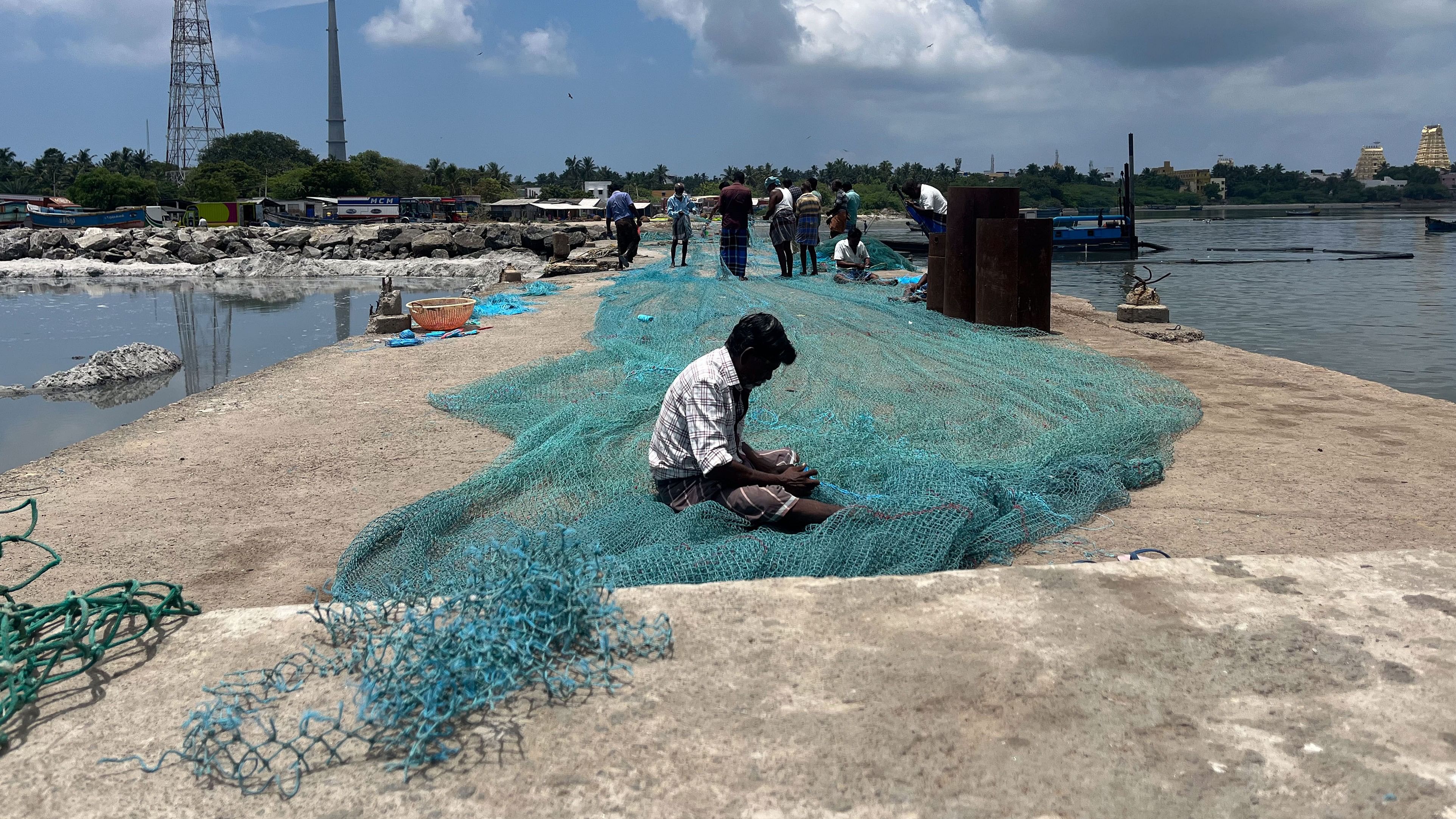 <div class="paragraphs"><p>The estimated average annual loss for fishing young ones of these fishes amounts to Rs. 216 crore, the study report said.</p></div>